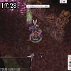 17時25分 ごろ