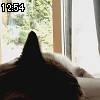 12時50分 ごろ