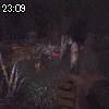 23時05分 ごろ