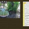 15時55分 ごろ