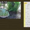 16時25分 ごろ