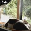 15時40分 ごろ
