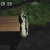 01時25分 ごろ