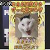 13時05分 ごろ