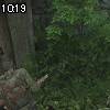 10時15分 ごろ