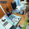 23時30分 ごろ