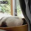 15時20分 ごろ