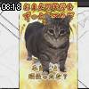 08時15分 ごろ