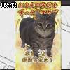 08時40分 ごろ