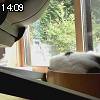 14時05分 ごろ