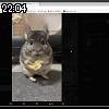 22時00分 ごろ
