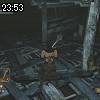 23時50分 ごろ