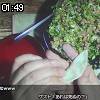01時45分 ごろ