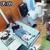 05時05分 ごろ