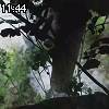 11時40分 ごろ