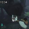 12時30分 ごろ