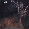 16時40分 ごろ