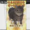 08時00分 ごろ