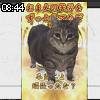 08時40分 ごろ