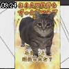 09時20分 ごろ