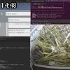 14時45分 ごろ