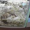 15時40分 ごろ
