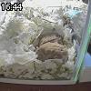 16時40分 ごろ